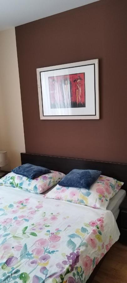 דירות קולובז'ג Apartament Amber Z Duzym Tarasem מראה חיצוני תמונה